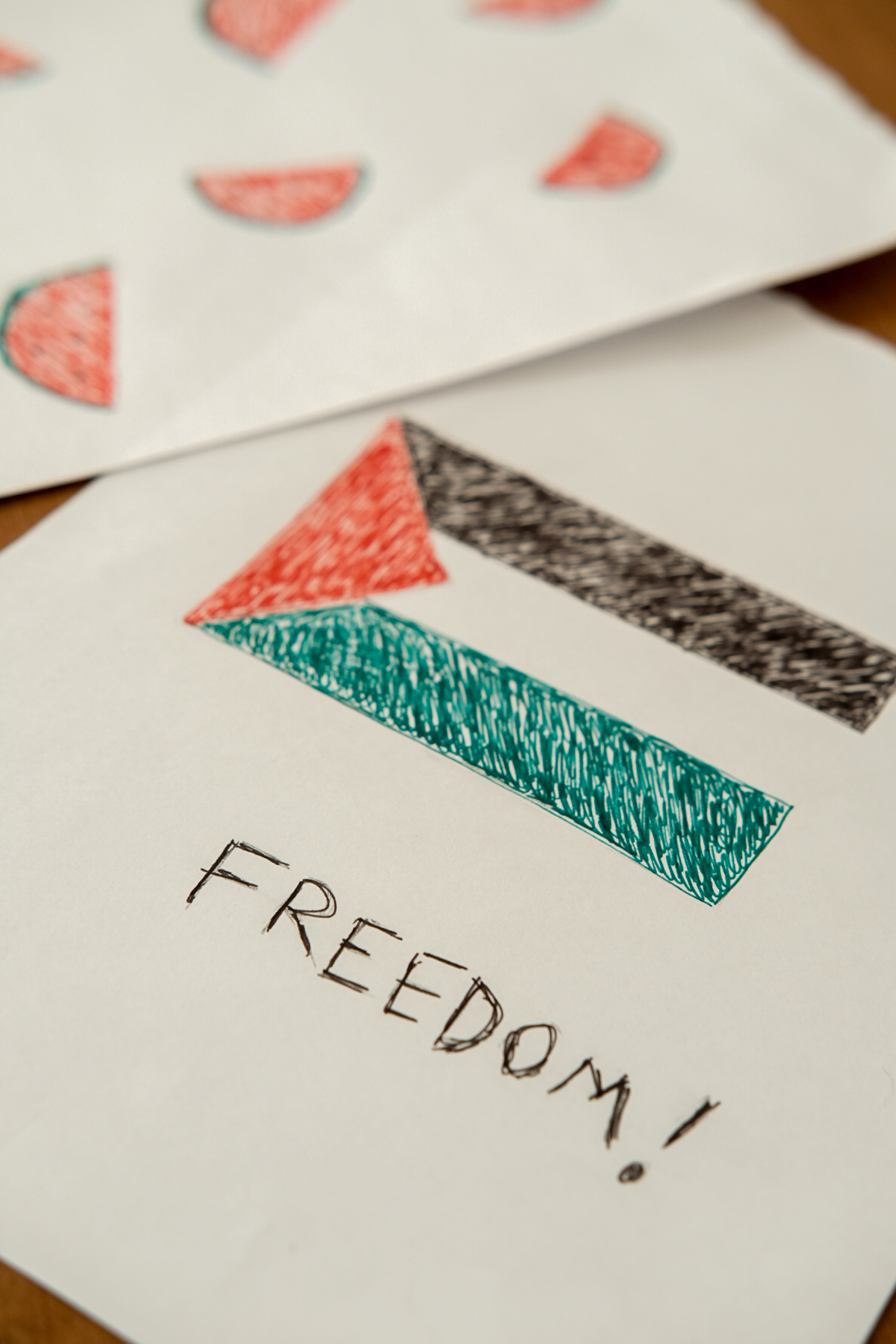 A drawing of a flag with the word freedom written on it